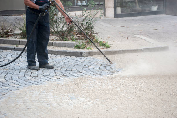 Best Animal Enclosure Cleaning  in San Carlos, TX
